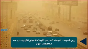 رياح شديدة.. الأرصاد تحذر من تأثيرات الأمواج الترابية على عدة محافظات اليوم